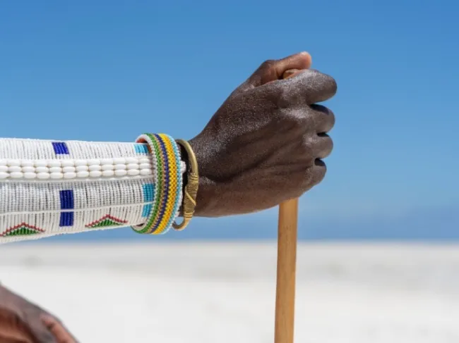 African hand